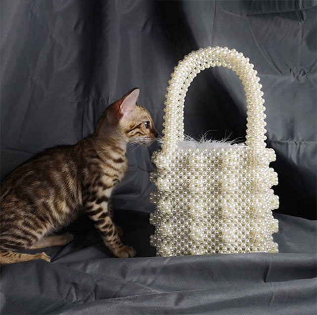 Handmade Pearl Evening Tote Box eprolo